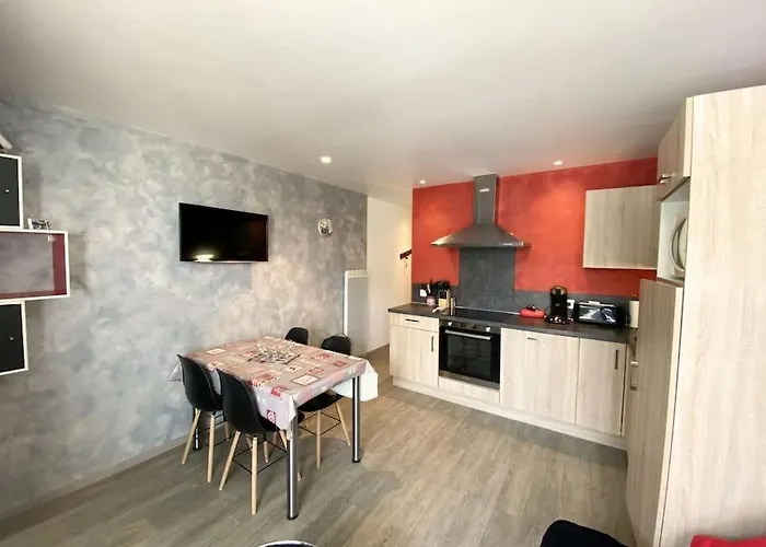 Appartement A La Montagne Au Pied Des Pistes Classe 3 Etoiles